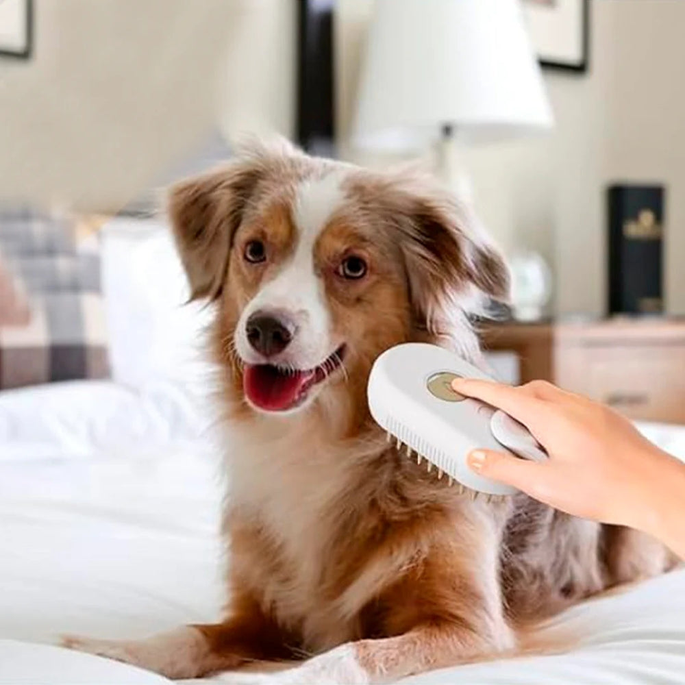 pawesomenatural™ - Spazzola a Vapore