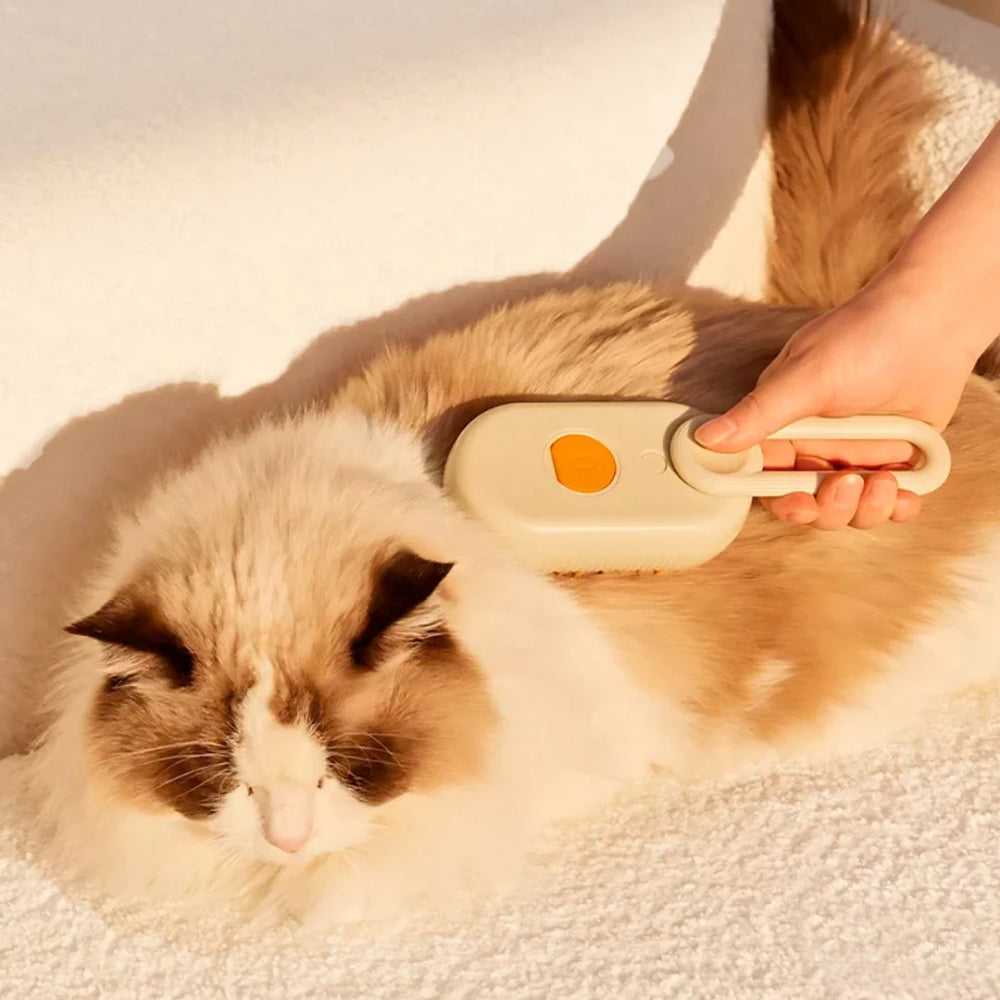 pawesomenatural™ - Spazzola a Vapore